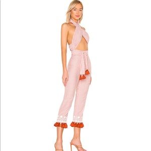 Striped Pink Tularosa Jumpsuit (Revolve)